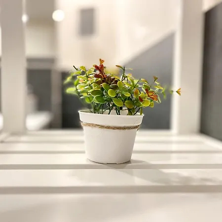 Apartment Baltischer Hof 22 Boltenhagen