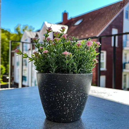 Baltischer Hof 22 Appartamento Boltenhagen (Ostseebad)