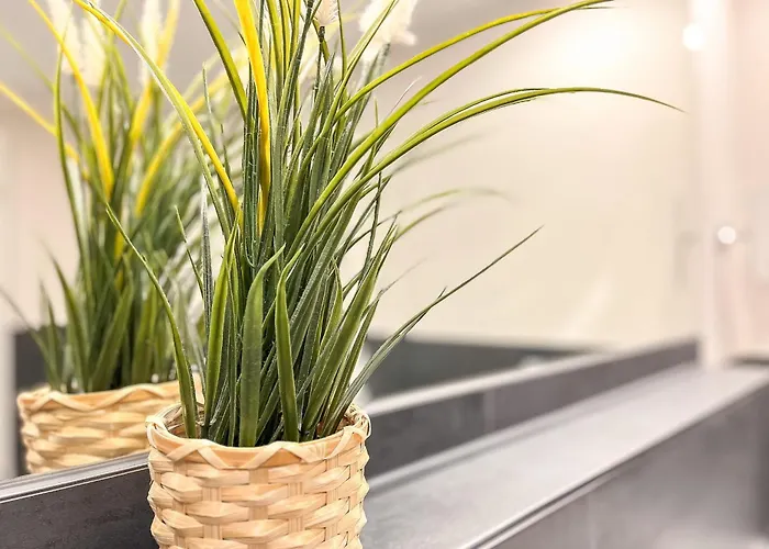 Apartman Baltischer Hof 22